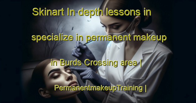 Skinart In-depth lessons in specialize in permanent makeup in Burds Crossing area | PermanentmakeupTraining | PermanentmakeupClasses | SkinartTraining-United States